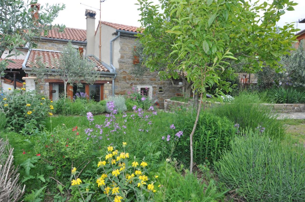 Istrian Stone House Villa Sečovlje Exteriör bild