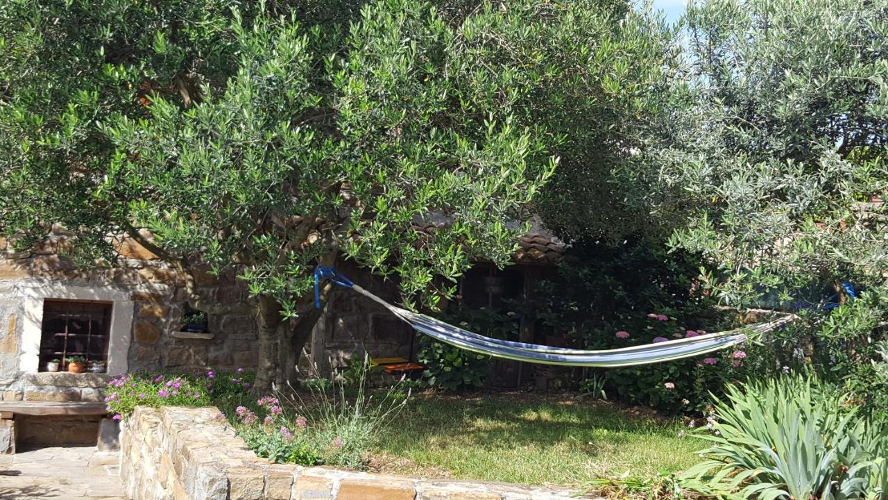 Istrian Stone House Villa Sečovlje Exteriör bild
